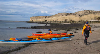 Expedicon en Kayak de Mar en Patagonia. Vida Marina, entre Ballenas, Lobos Marinos y Pinguinos