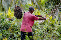 Pengertian Sumber Daya Alam