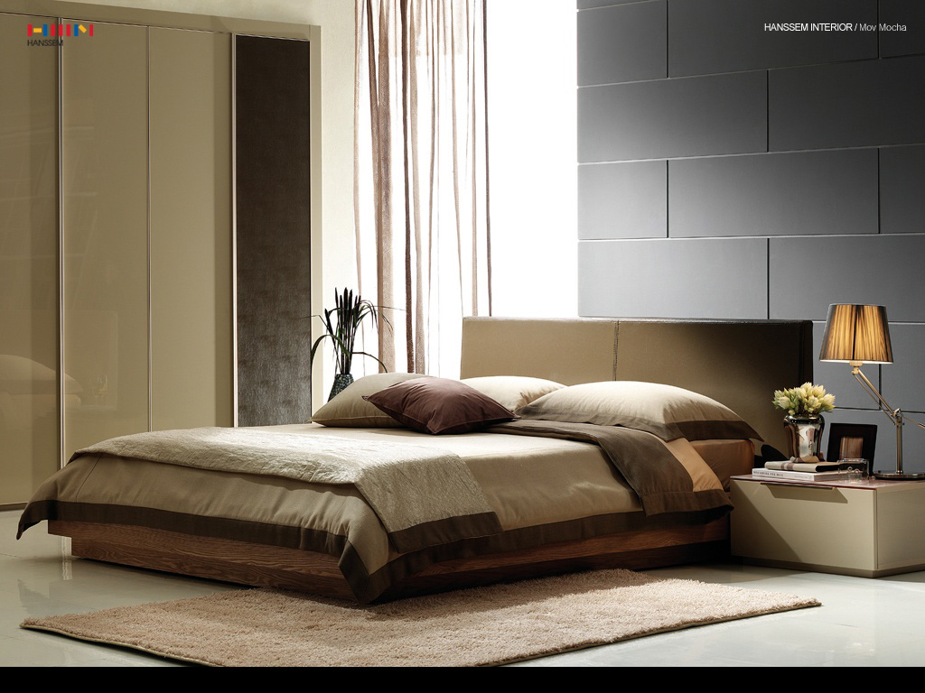 Modern Bedroom Decorating Ideas  Dream House Experience