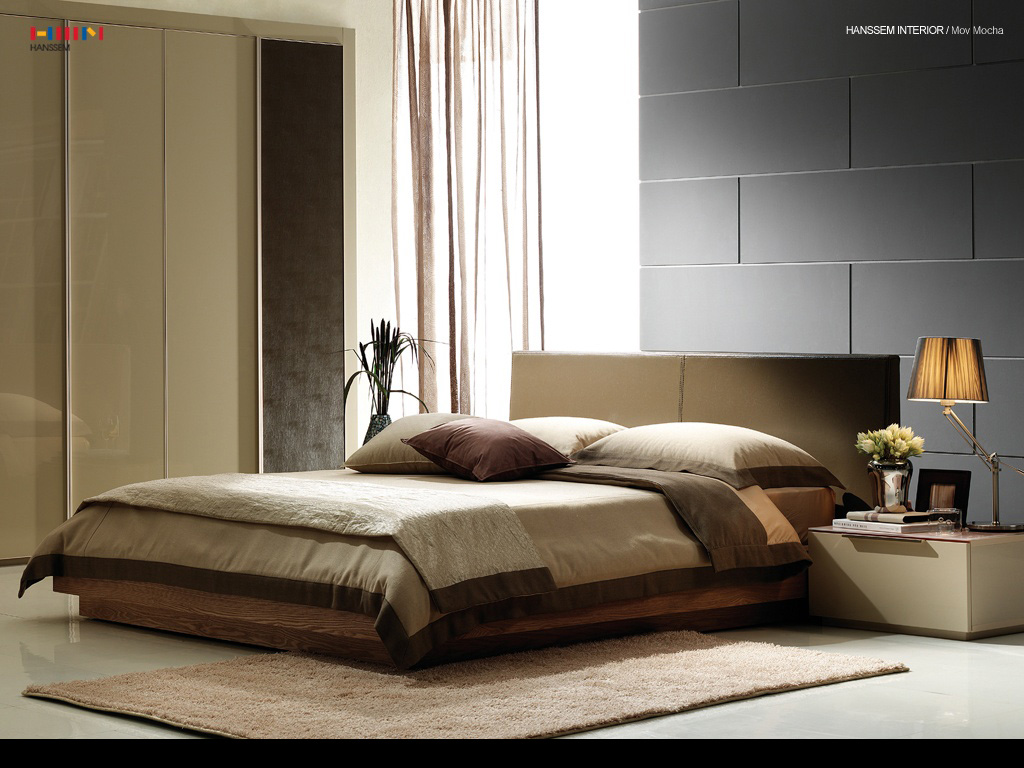 Interior Design Ideas: Fantastic Modern Bedroom Paints 