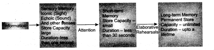Solutions Class 11 Psychology Chapter -7 (Human Memory)