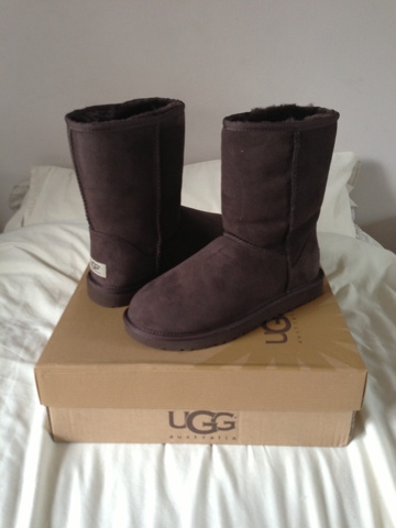 Short Classic Ugg Boot in Chocolate Brown 