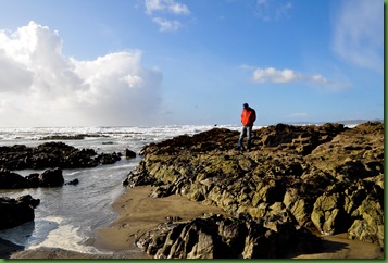 BrentTidePool1 (1 of 1)