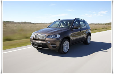2011 BMW X5 Car Picture