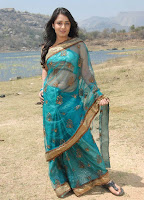 Nikitha, In, A, Designer, Saree