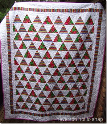 Triangle Flowers and Brights quilt