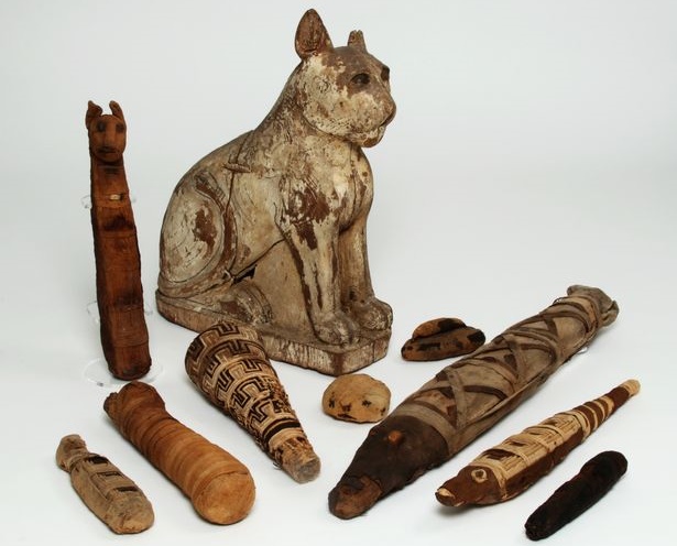 'Gifts for the Gods: Animal Mummies Revealed' at Manchester Museum