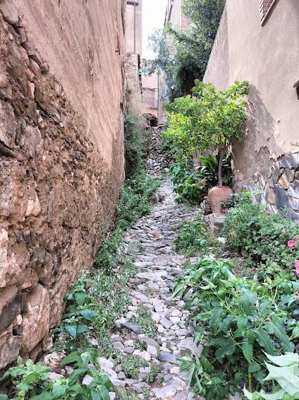 Carrer amb plantes