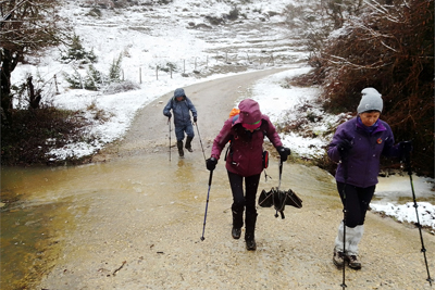 Con lluvias o deshielo los arroyos bajan con más caudal