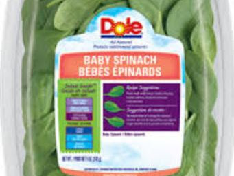 コレクション bébé épinard valeur nutritive 113038