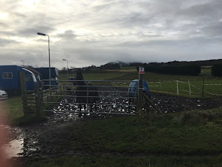 Two horses in a field with the Pentlands in the background.