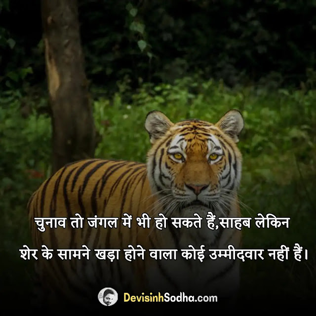 tiger shayari in hindi, tiger attitude shayari in hindi, बाघ शायरी, डॉन वाली शायरी, शेर की दहाड़ वाली शायरी, शेर पर शायरी, lion king shayari, shayari on sher tiger in hindi, tiger पर शायरी, बब्बर शेर स्टेटस इन हिंदी