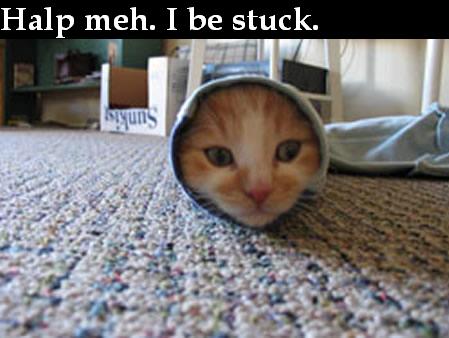 funny cats with words. 2010 funny cats with sayings.