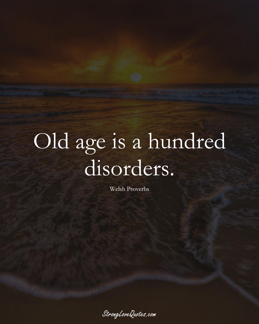 Old age is a hundred disorders. (Welsh Sayings);  #EuropeanSayings