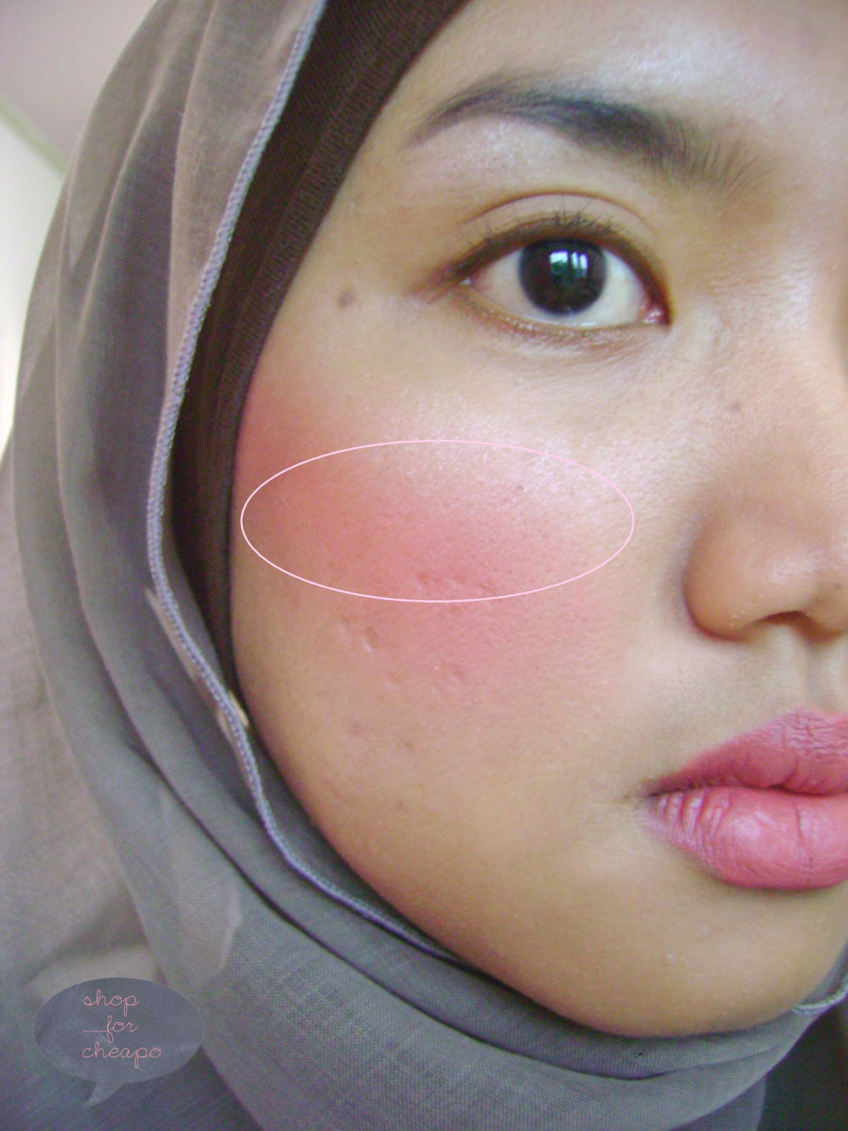 Basic Berbagai Tipe Cara Aplikasi Blush