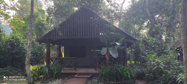 accommodation for gorilla safari