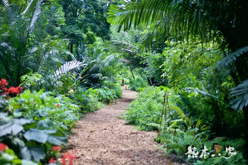 蝴蝶生態區步道｜飛牛牧場~唯美自然系IG景點