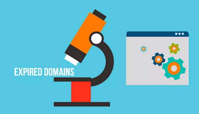 Cara Mengaktifkan Domain Expired yang Benar