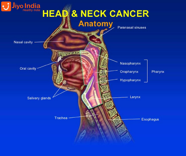 Head And Neck Cancers Treatment