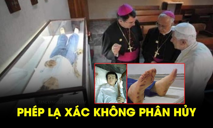 Phép lạ xác không phân hủy của thánh tử đạo 14 tuổi Sanchez del Rio