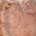 View album