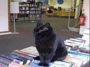 Fidel, seekor kucing yang gemar ke perpustakaan di Inggris