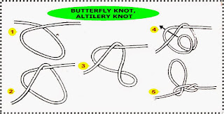 simpul-kupu-kupu