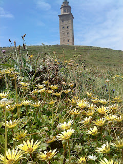 Flower and Tower   Sprint in Tower of Hercules (Corunna, Spain)   by E.V.Pita   http://evpita.blogspot.com/2011/05/flower-and-tower-flores-torre-de.html   Flores + Torre de Hércules  (Primavera en Torre de Hércules, A Coruña)  por E.V.Pita