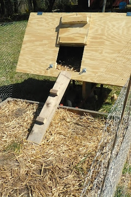 chicken tractor