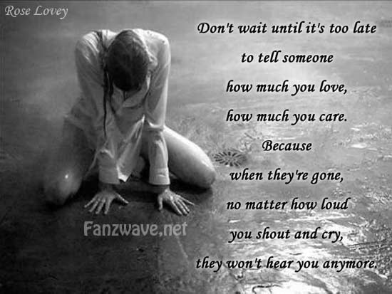 new love quotes pictures. new love quotes 2010. love