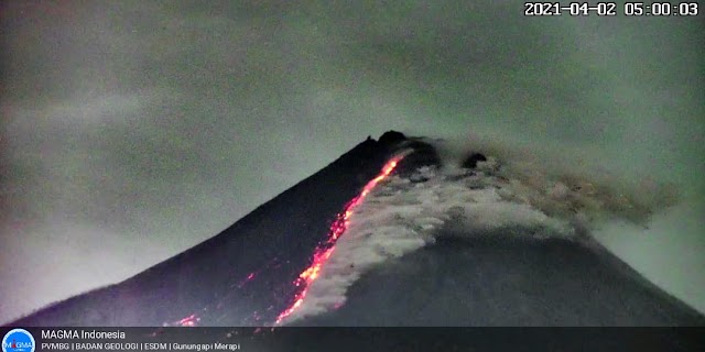 Gunung Merapi Keluarkan Asap Panas, Jarak Luncur Hingga 1.500 Meter