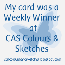 http://cascoloursandsketches.blogspot.co.uk/2016/12/weekly-winners-seasonal-colours.html