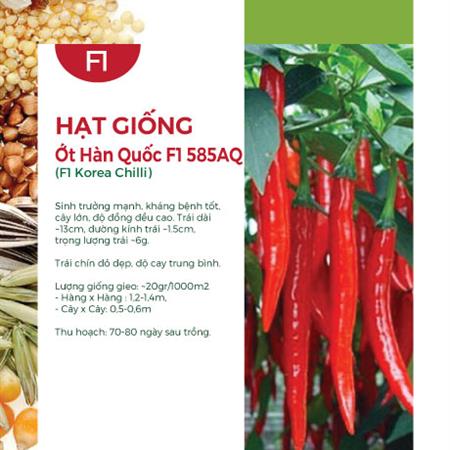 Hạt giống Ớt Hàn Quốc F1 585AQ