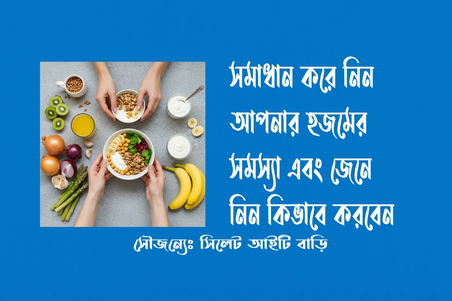 হজমে সহায়ক খাবার ফাইবার ও প্রোবায়োটিকের গুরুত্ব