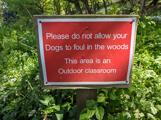 Woodland is used as an outdoor classroom