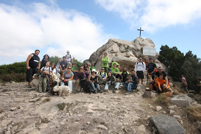 australian shepherd and golden retriever in serra de sintra 