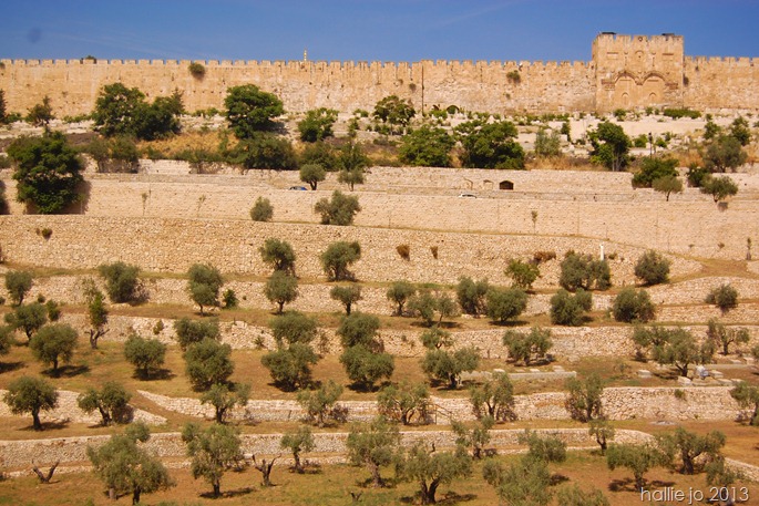 Jerusalem14