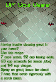 DIY Grout Cleaner