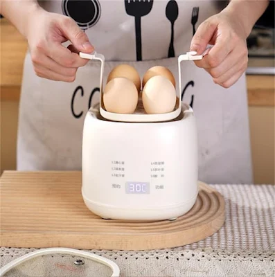 Smart multi-functional egg cooker