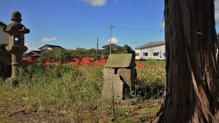 鳥取県西部のサイノカミ、多賀神社の石祠