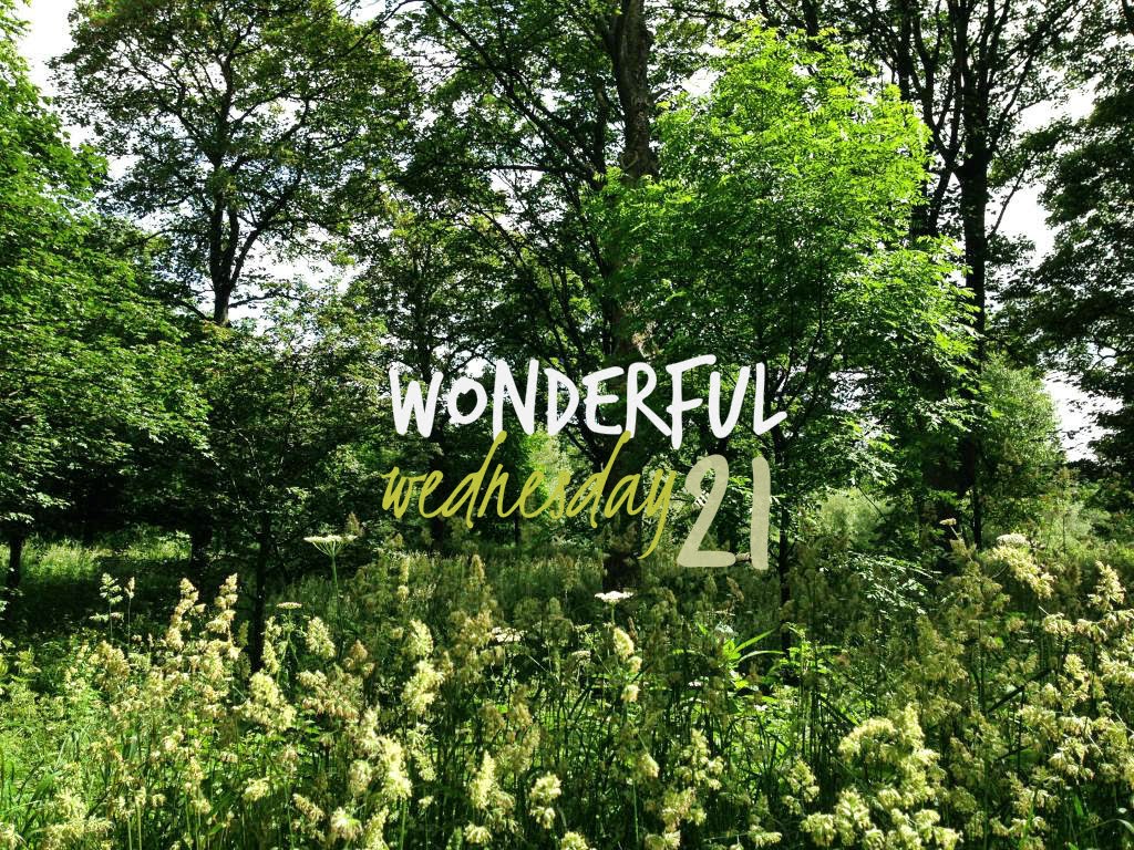 Wonderful Wednesday 21