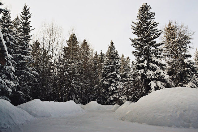 Boreal forest, Central Alberta, shovelled snow Feb 2018 urbanehillbillycanada.blogspot.com