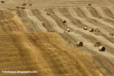 Photoworks by Francesco Martini