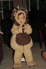 Elle, the Lion