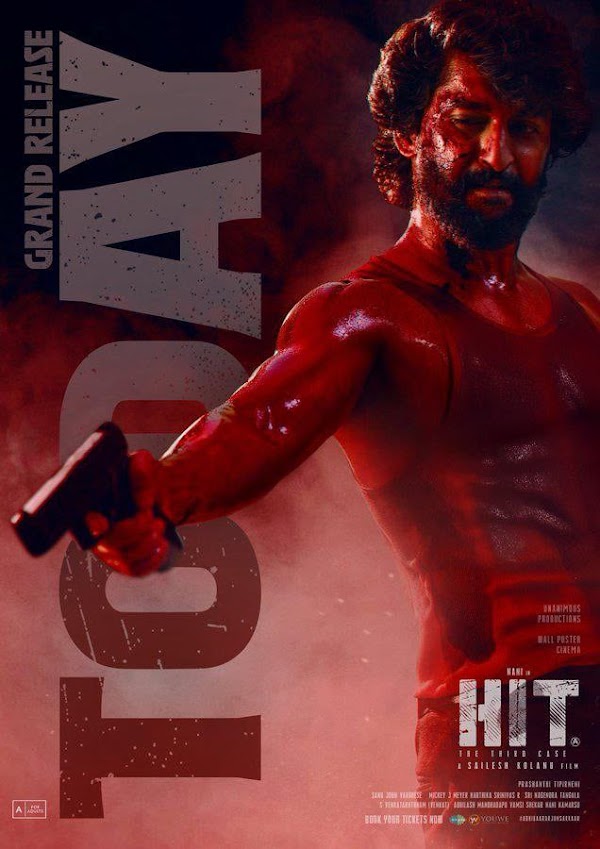 HIT: The 3rd Case (2025)