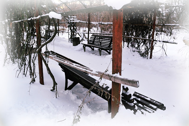 Pergola in Winter Garden Covered with Snow