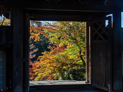 Autumn leaves: Engaku-ji