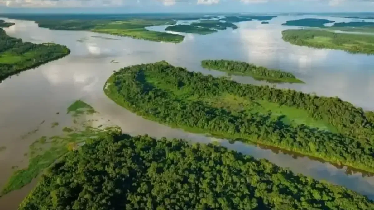 The Congo river
