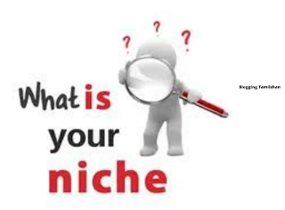 top 7 profitable niches of all time