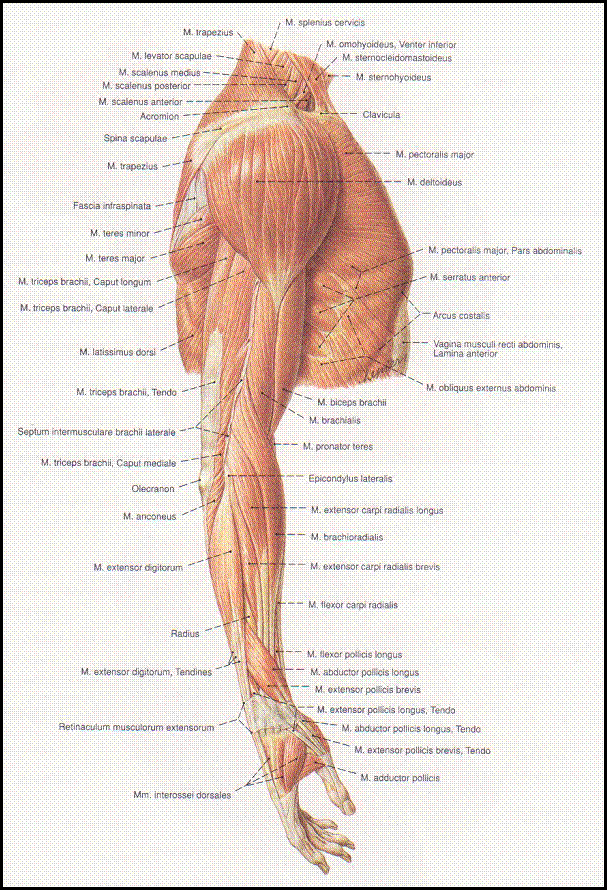 clip_image002[25]